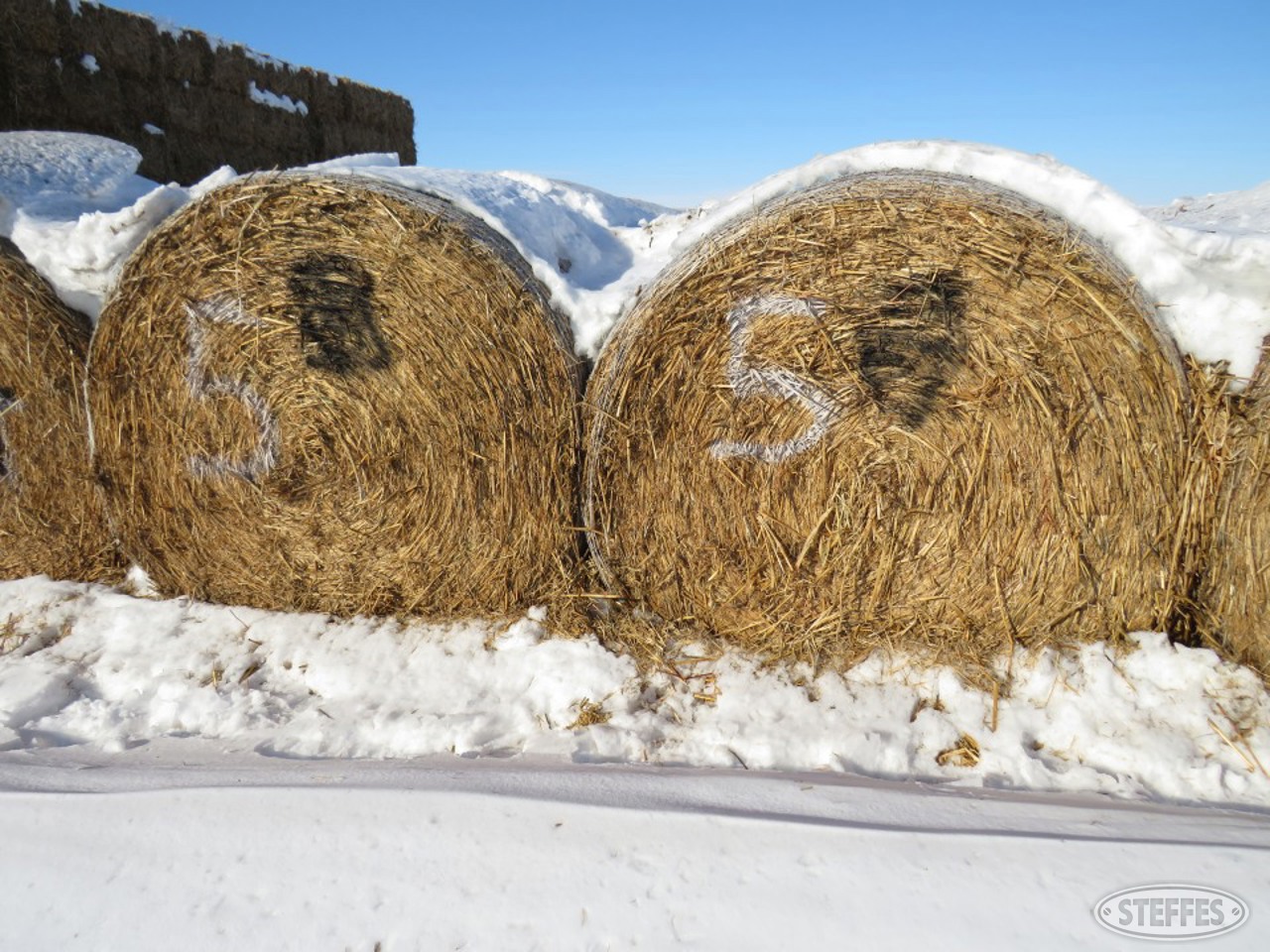 (30) sorghum/sudan grass mix round bales
